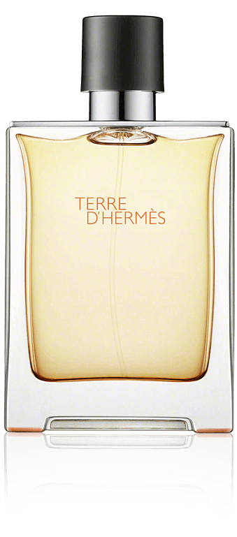 Hermes Terre d'Hermes - Edt - Vapo - 100ml